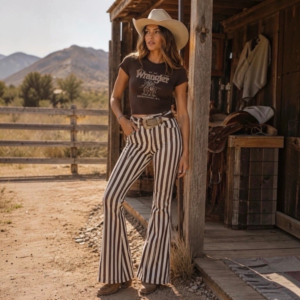 Wrangler The Wanderer Brown Striped High‎ Rise Flare Jeans 24 x 30 Western Boho